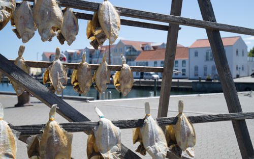 Fisk Til Toerre