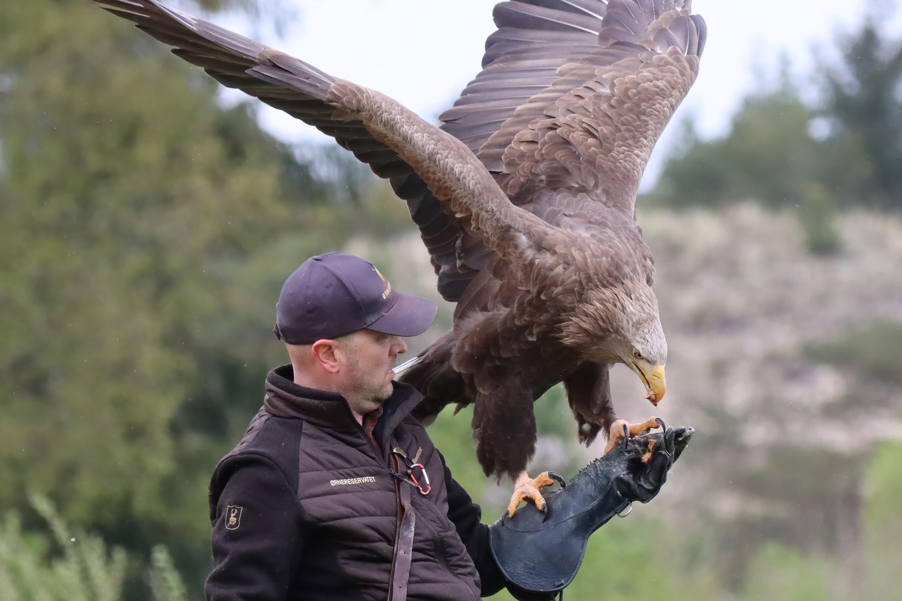Skagen Sydstrand Camping Skagen Fuglereservat Oern