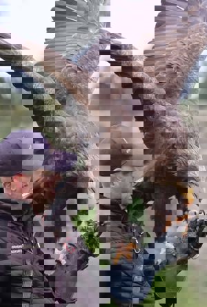 Skagen Sydstrand Camping Skagen Fuglereservat Oern