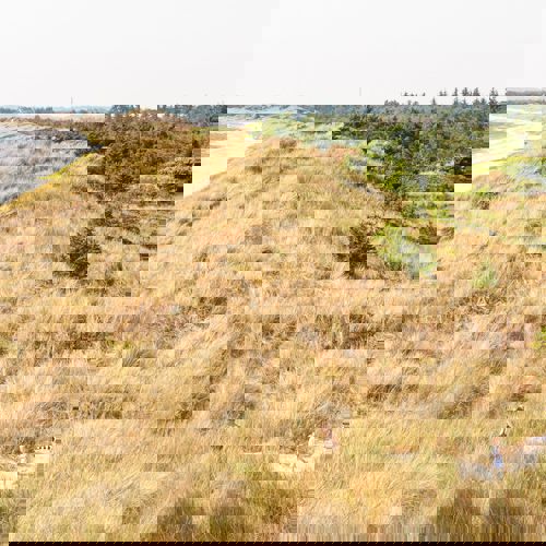 Skagen Sydstrand Camping Skagen Strand Badegaester