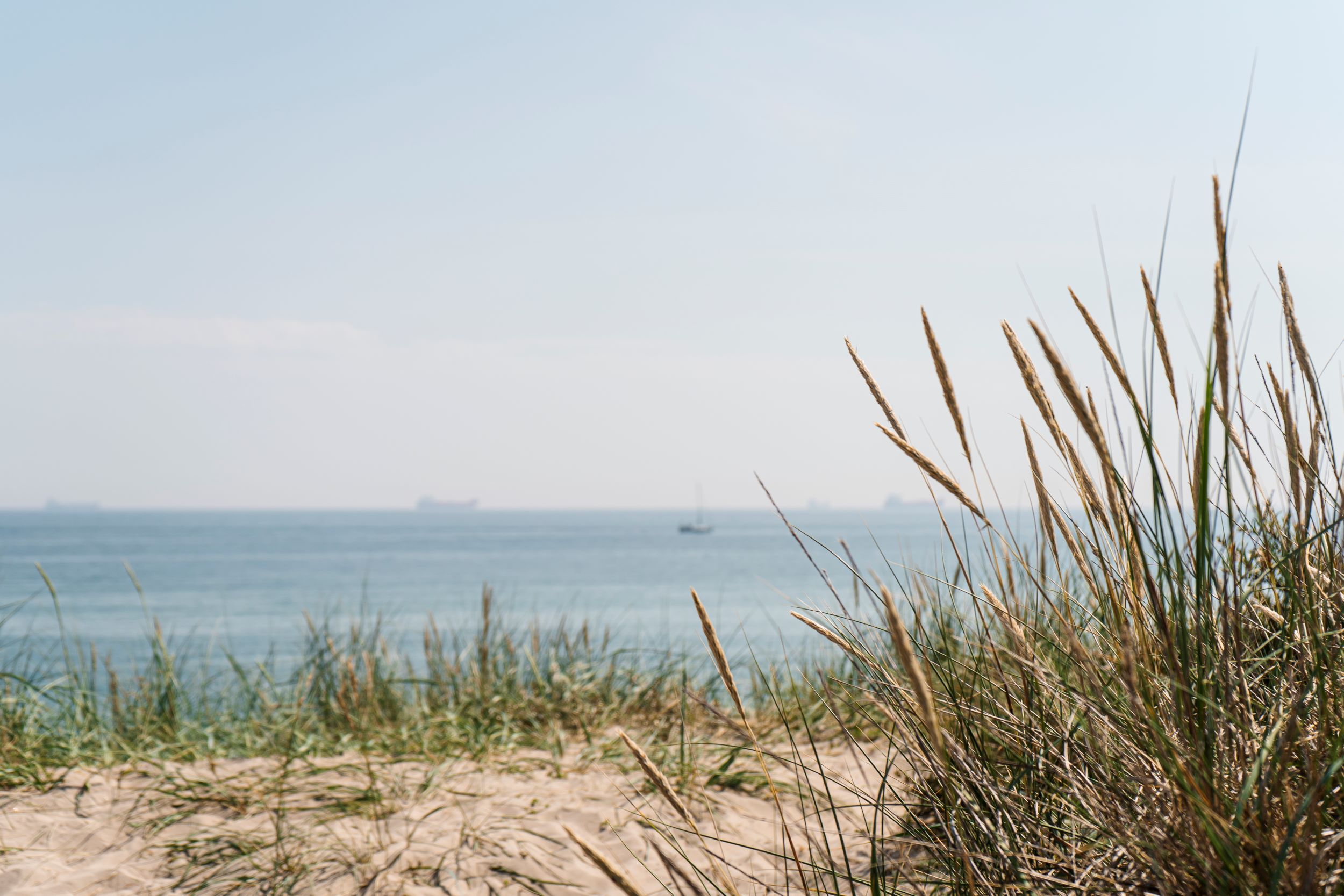 Skagen Sydstrand Havet Klitter