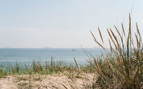 Skagen Sydstrand Havet Klitter