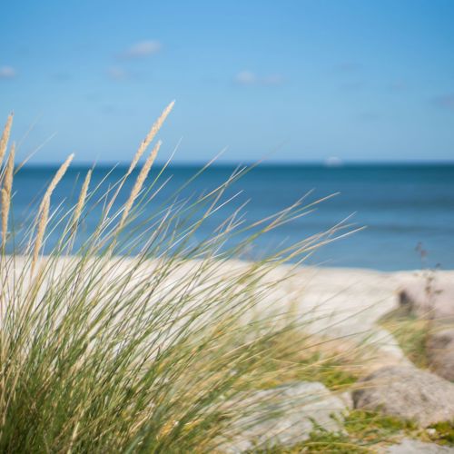 Saeby Strand