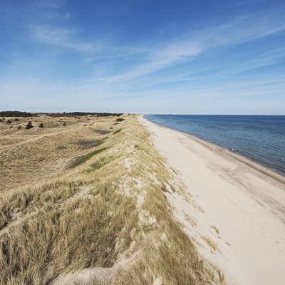 Hulsig Strand Kyst