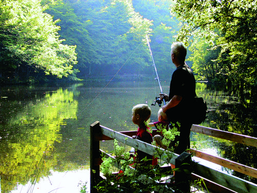 Vandvaerkskoven Ved Brug Krediteres Turisthus Nord 1