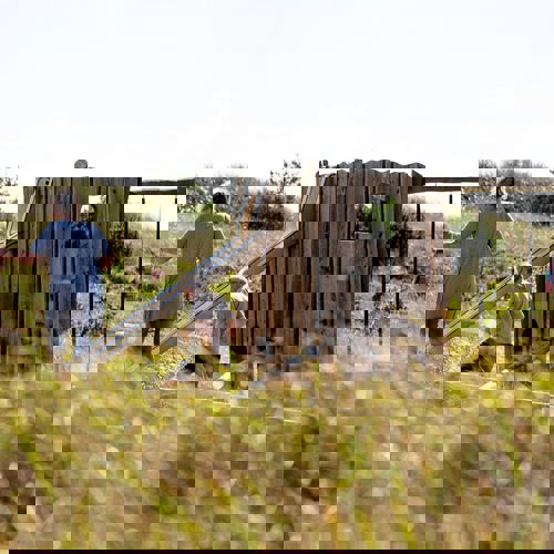 Skagen Sydstrand Camping Skagen Pladsen Legeplads