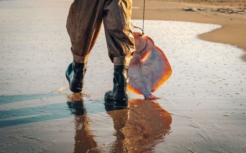 Skaermbillede 2023 10 03 094122