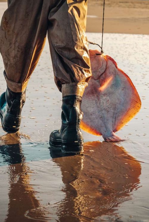 Skaermbillede 2023 10 03 094122