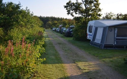 Campingplads Bunken