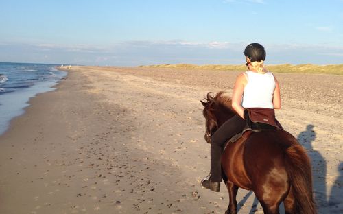 Strand Hest Rridning